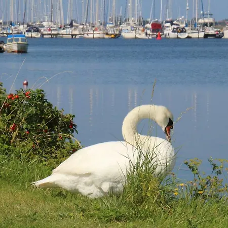 2Zi-Ferienwohnung Am Suedstrand Mit Eigenem Parkplatz Perfekt Fuer Familie Burgtiefe auf Fehmarn Exterior photo