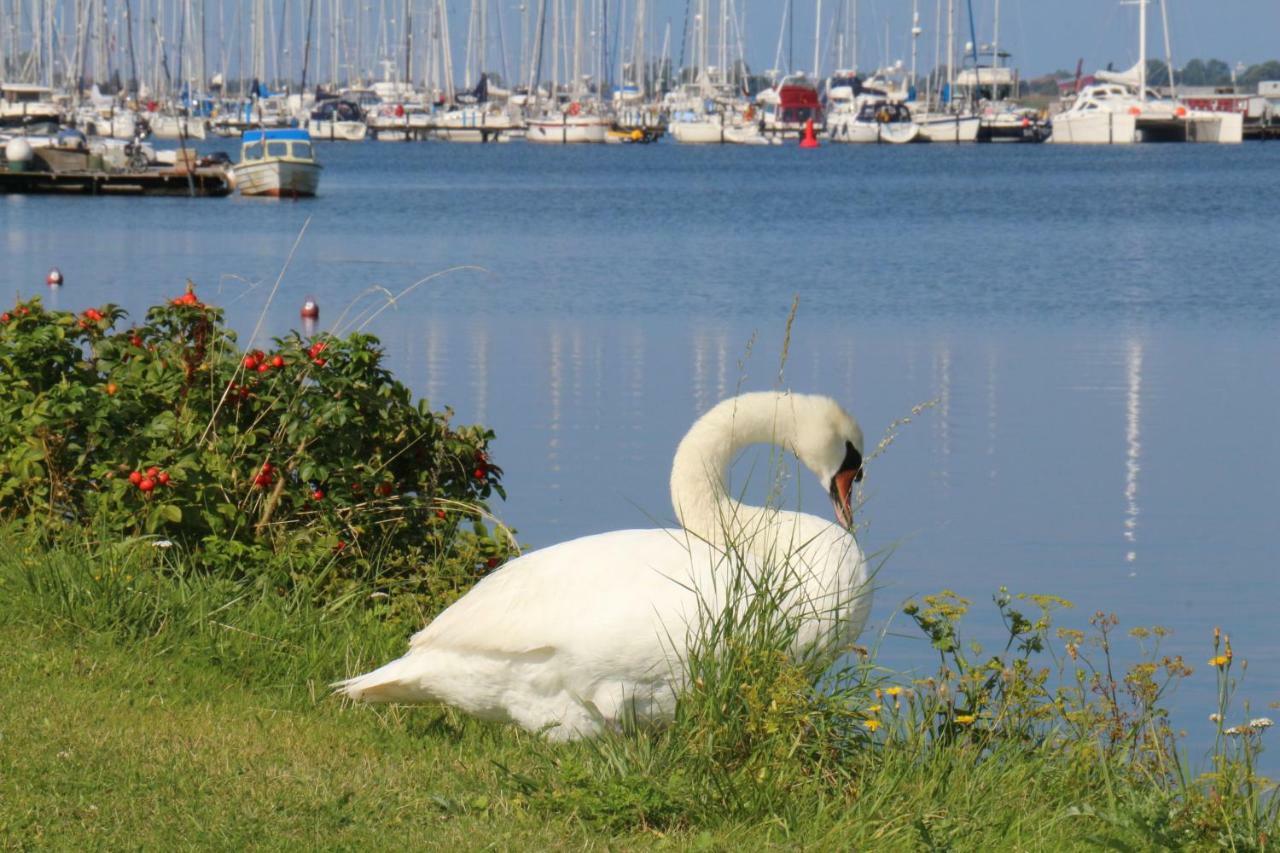Apartment 2zi-ferienwohnung Am Suedstrand Mit Eigenem Parkplatz Perfekt Fuer Familie